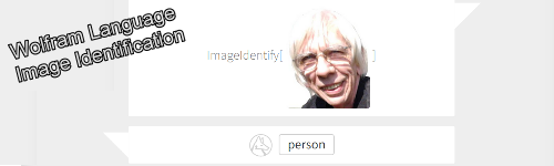 WolframImage